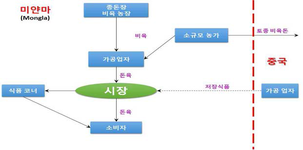 중국과 미얀마 국경 간 돼지 공급 체인(Mongla 지역)