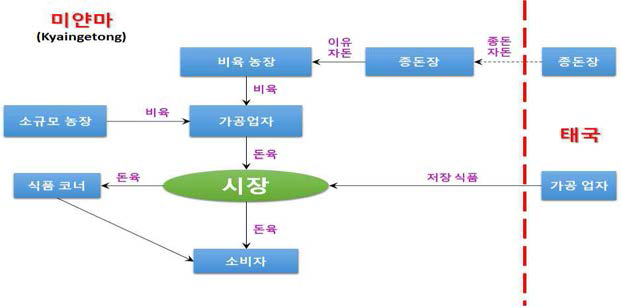 태국과 미얀마 국경 간 돼지 공급 체인(Kyaingetong 지역)