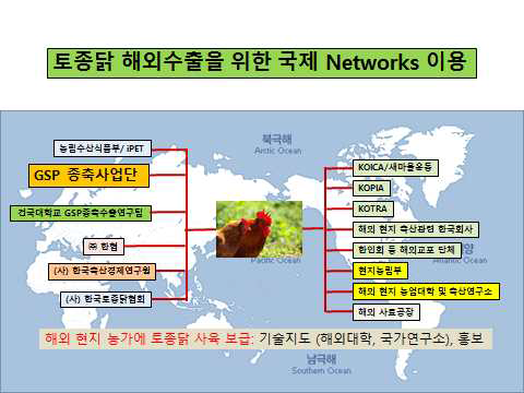 토종닭 해외수출을 위한 국제 Networks 이용