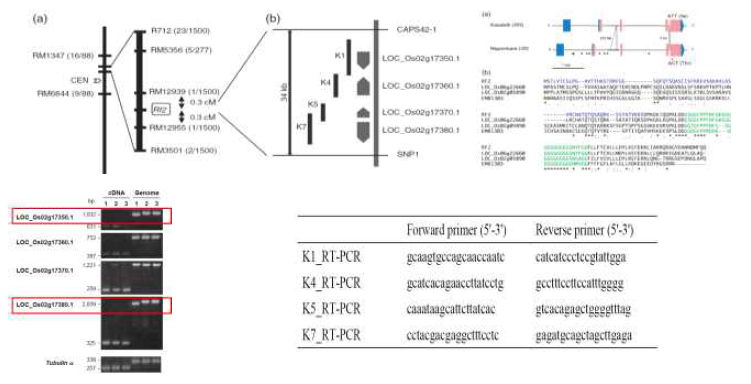 Itabashi et al. (2011) The Plant Journal 65:359-367