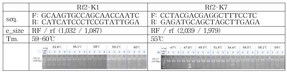 Rf2-K1, Rf2-K7 프라이머 정보 및 PCR 조건
