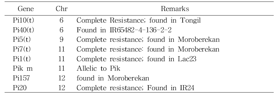 MAS 육종에서 주로 사용되고 있는 Blast 저항성 유전자
