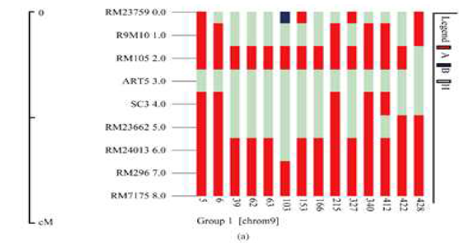 Application of marker assisted backcrossing to introgress the submergence tolerance QTL SUB1 into the Vietnam elite rice variety-AS996