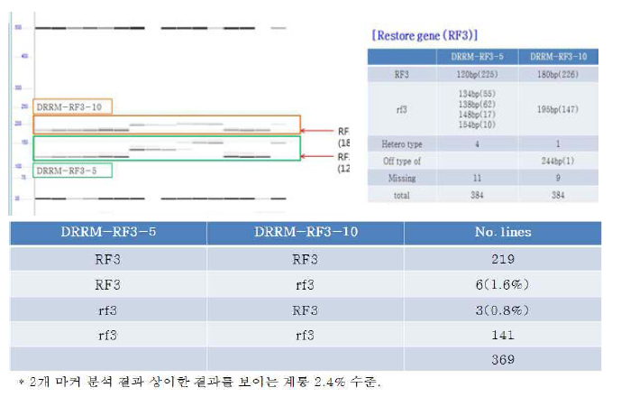 2년차 1차 시료 386점에 대한 Rf3 유전자 마커 선발 결과