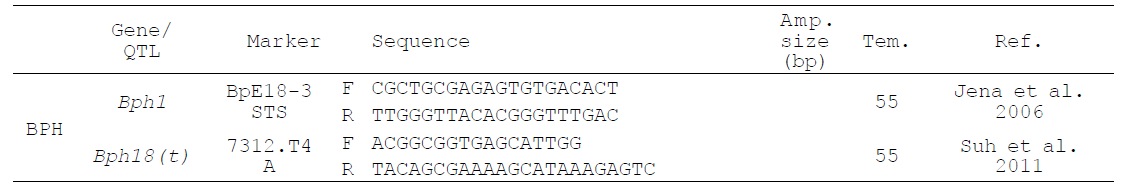 품종별 선별 유전자의 PCR 증폭에 사용된 마커 정보