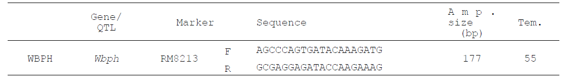 품종별 선별 유전자의 PCR 증폭에 사용된 마커 정보