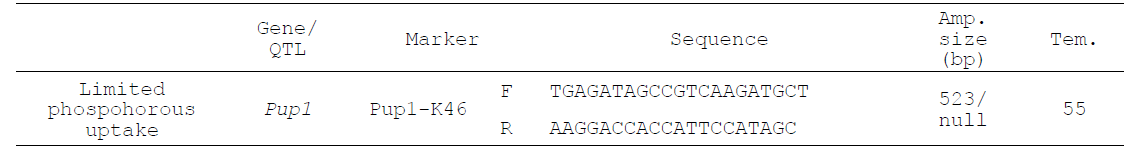 품종별 선별 유전자의 PCR 증폭에 사용된 마커 정보