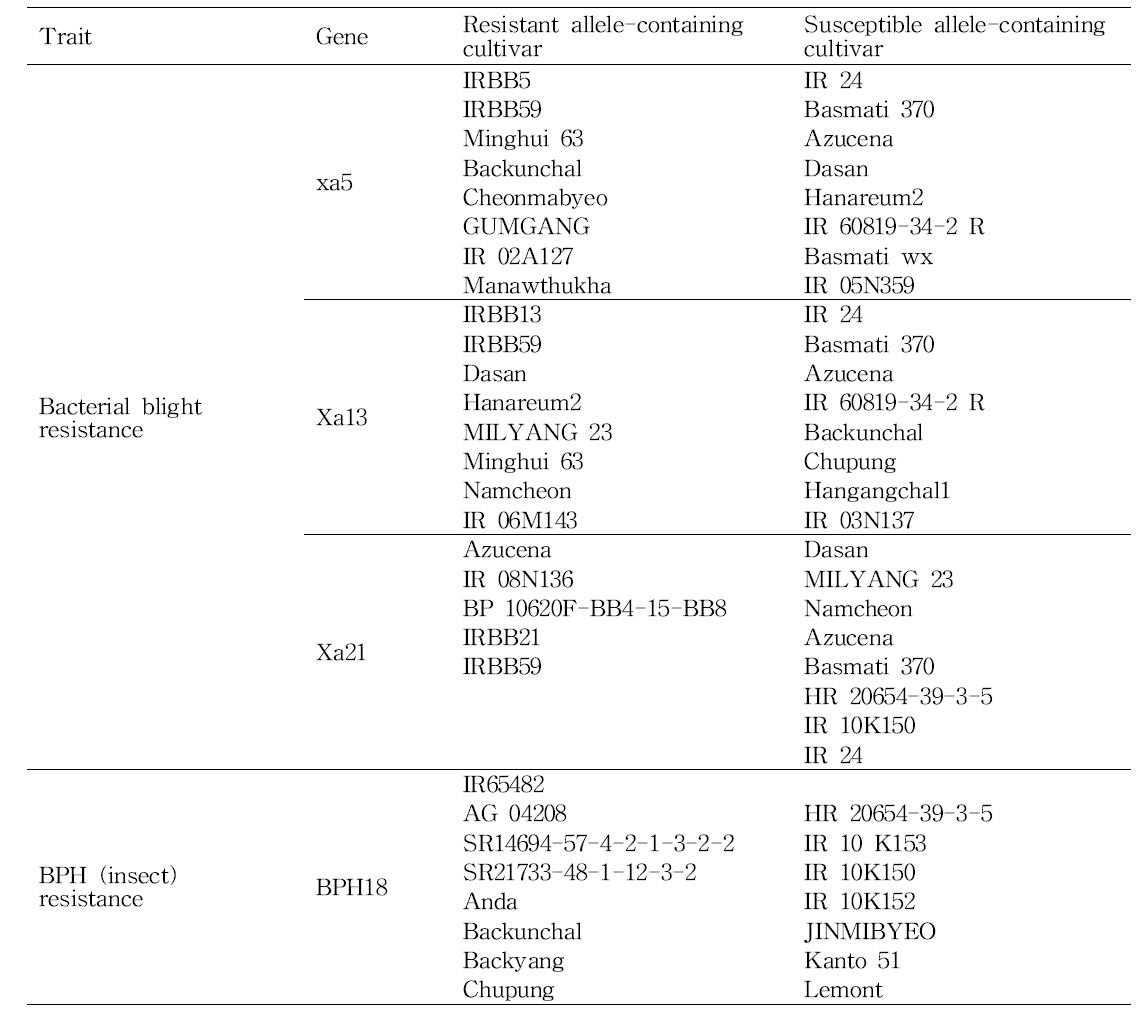 SNP 마커 개발에 사용된 벼 품종