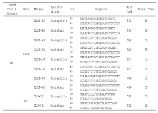 Allele-specific PCR 분석을 위한 Xa21 SNP 프라이머