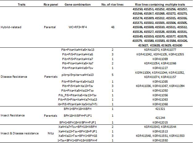 일대잡종, 병해충 및 양분 흡수 관련 등 복합 저항성 유전자를 포함하는 벼 계통 정보