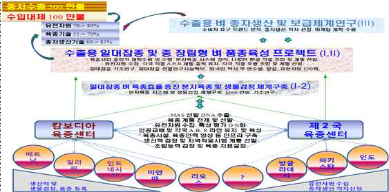 수출용 일대잡종 벼 프로젝트 모식도