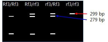 GAG - Deletion 부위에 제한효소를 적용할 경우 예상 결과