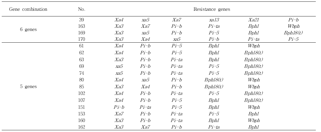 벼 육성계통 및 유전자원의 BB, Blast 및 병해충 복합 저항성 유전자를 포함하는 복합저항성 자원