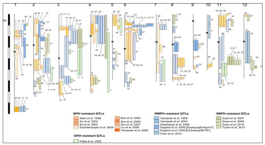 벼멸구-매미충류의 저항성 유전자의 염색체 상의 위치도