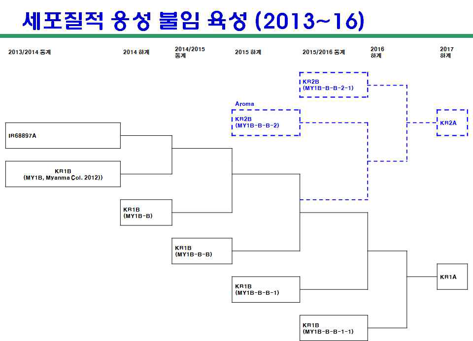 KR 1A, KR 2A 육성 계보도