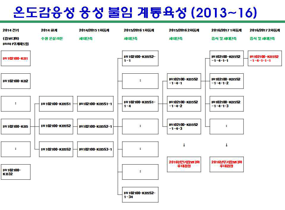 IR102100-KB5S2-1-4-1-1-1의 육성 계보도