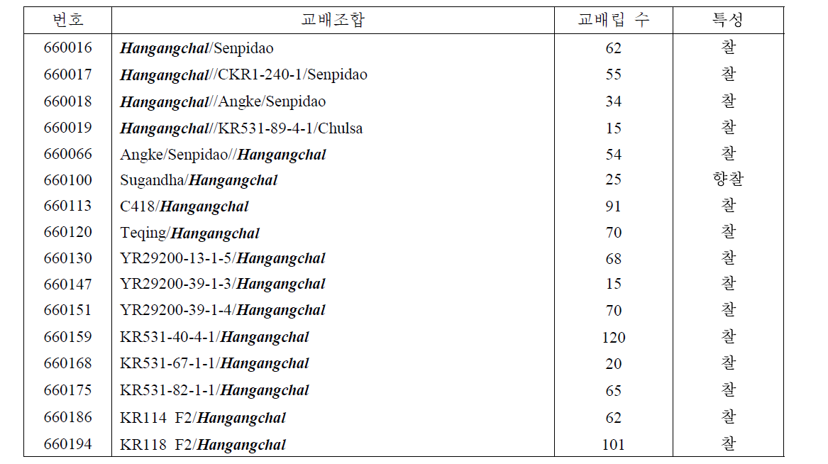 찰벼 육성을 위한 교배조합