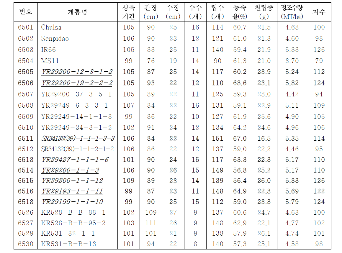 생산력 검정 예비시험에서 유망계통의 농업적 특성 및 수량성