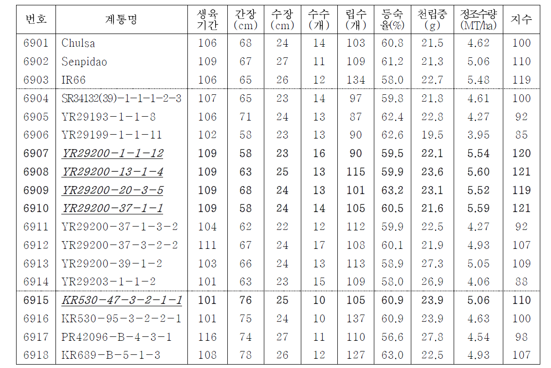 생산력검정 본시험(RYT)에서 유망계통의 농업적 특성 및 수량성