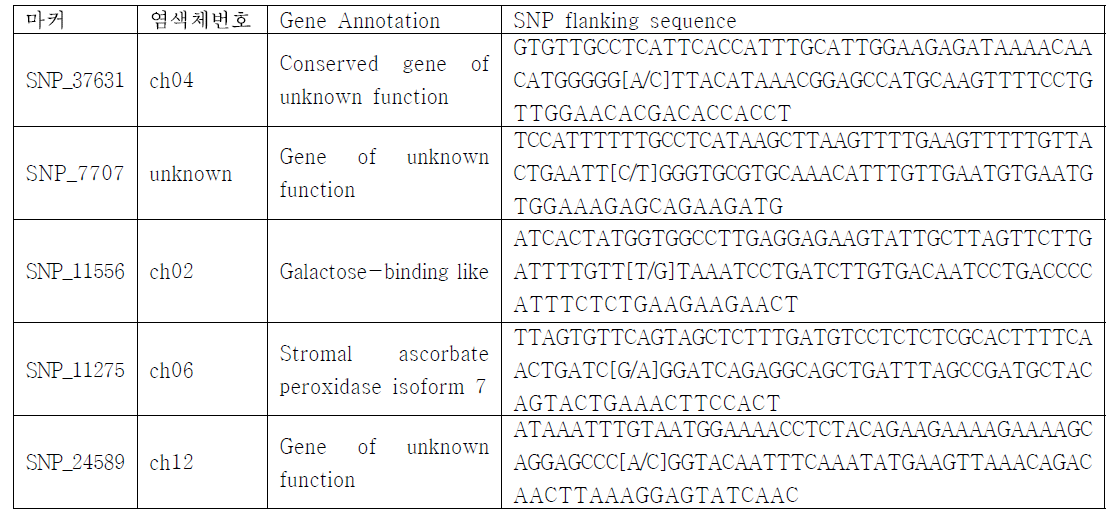감자 품종 구분을 위한 SNP 마커 정보