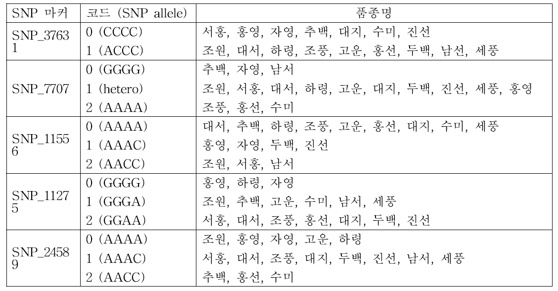 5개의 SNP 마커를 이용한 감자 품종의 유전자 gneotyping 결과 및 코드