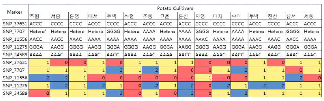 5종의 SNP 마커와 qRT-PCR 방법을 이용한 감자 주요 재배 품종(16개)의 유전자형과 품종 구분을 위한 식별방법