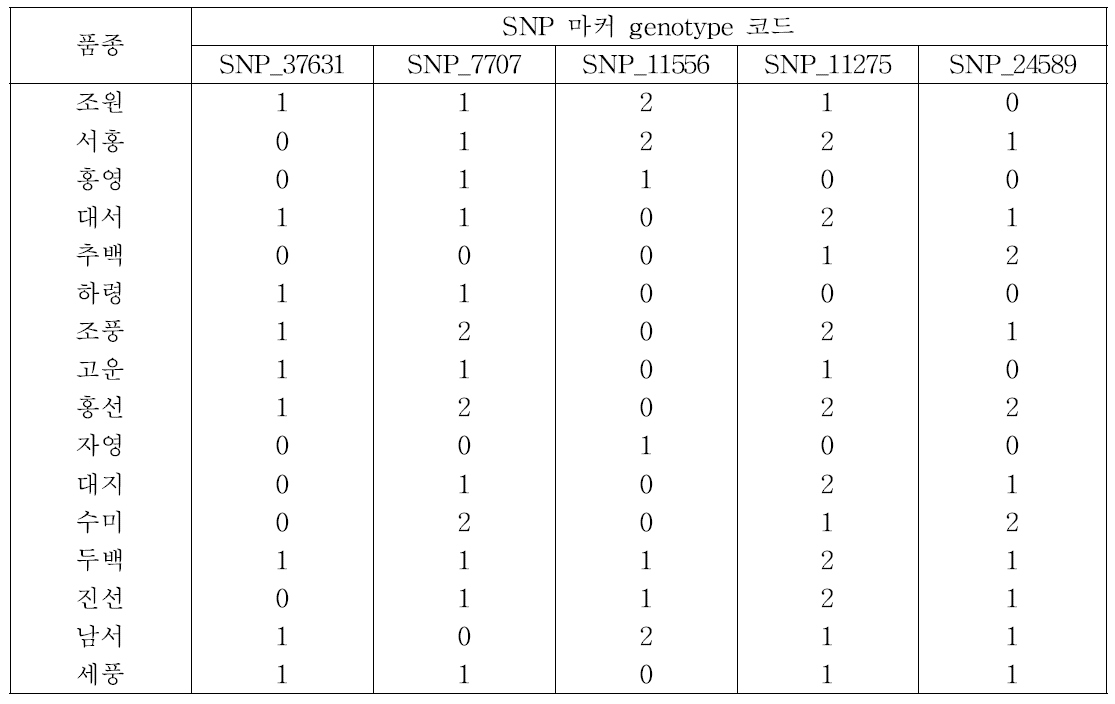 5개의 SNP 마커를 이용한 감자 품종의 유전자 코드