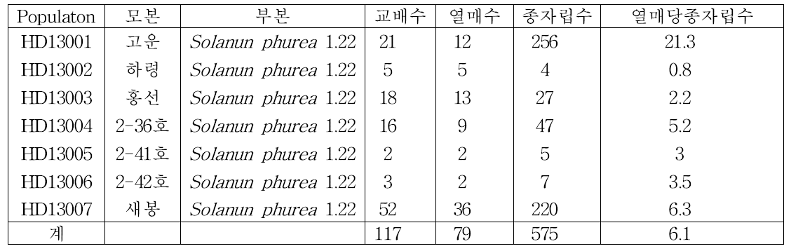 반수체 유기를 위한 교배조합 및 종자립수(2013년)