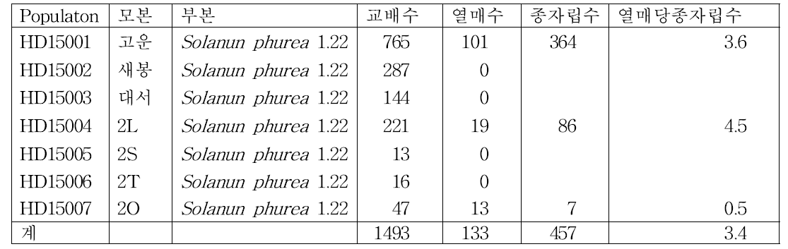 반수체 유기를 위한 교배조합 및 종자립수(2015년)