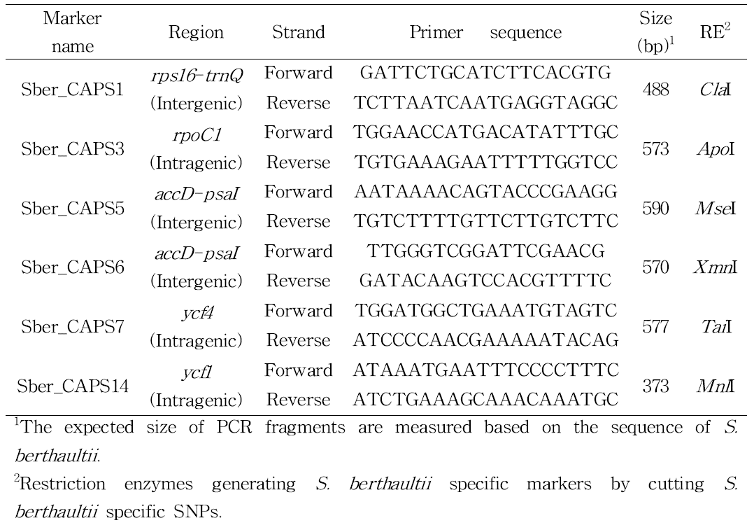 Information of primers and restriction enzymes to generate S. berthaultii specific markers