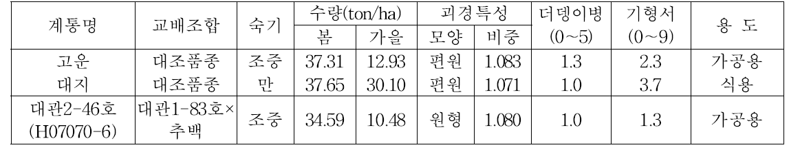 1년차 선발된 우량계통의 주요 특성