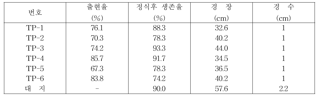 출현율 및 정식후 생존율