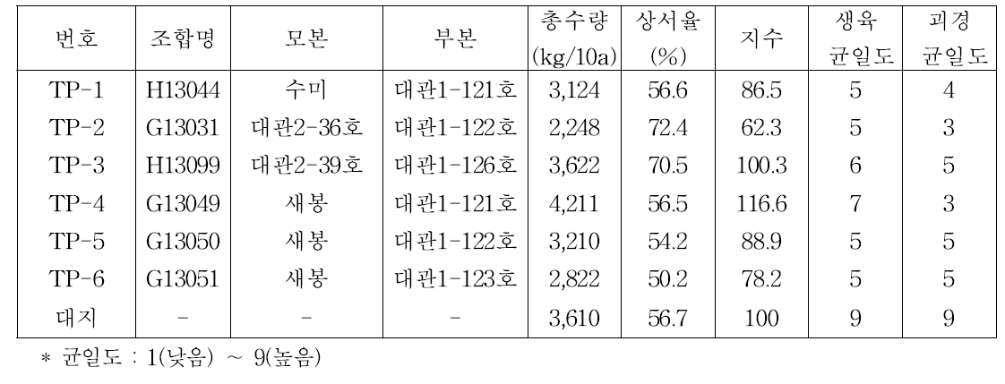 진정종자 후대 감자의 조합별 수량성