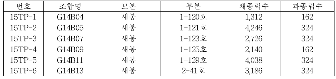 2015년 진정종자 활용능력 검정 조합