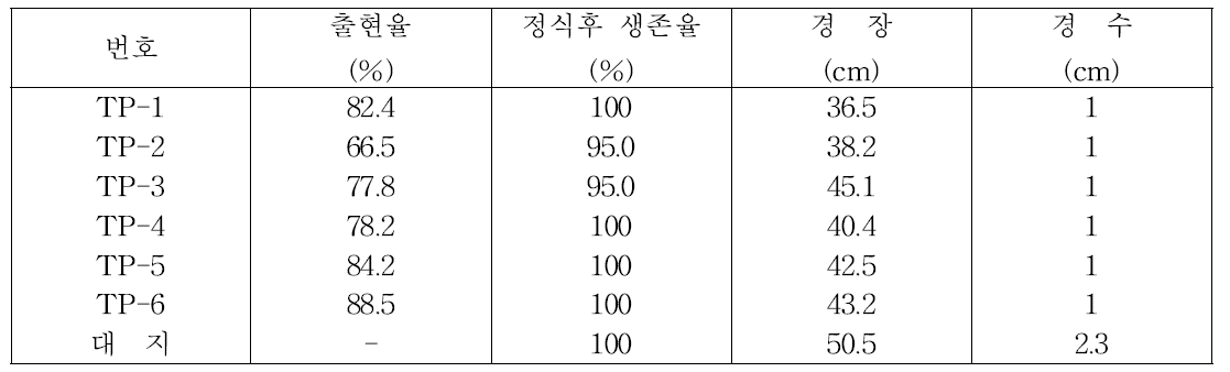 출현율 및 정식후 생존율