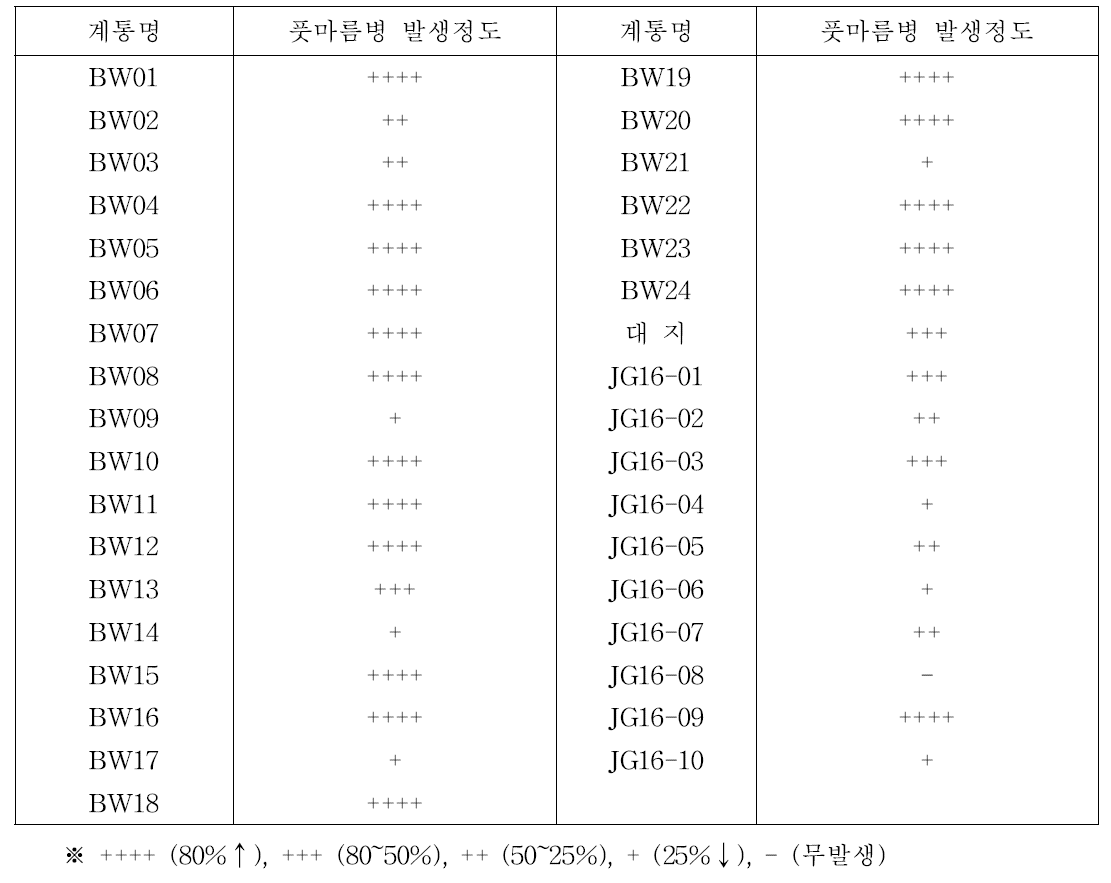 계통별 풋마름병 발생상황