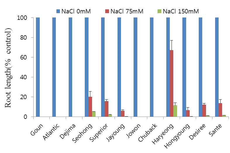 Effects of different NaCl concentrations on root length of plantlets of twelve cultivars after 45 days of in vitro culture