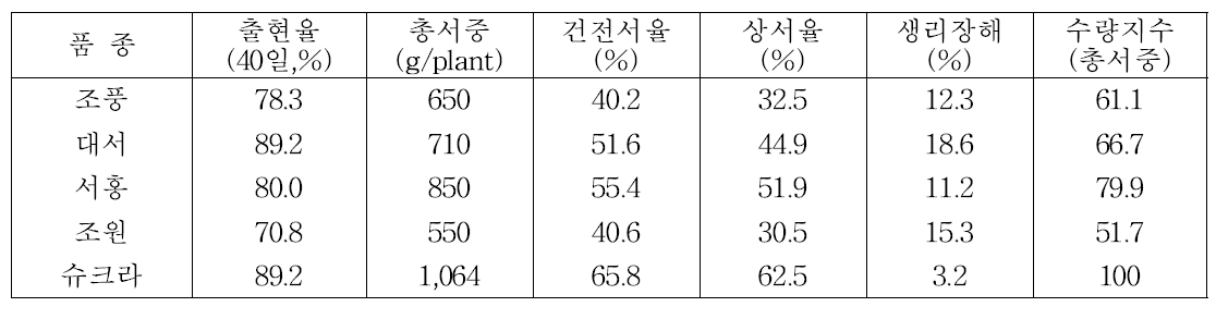 국산 감자 주요 품종의 우즈베키스탄(타슈켄트) 재배 시 수량성 및 괴경특성