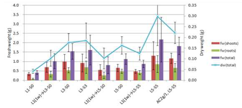 광량에 따른 생체중과 건물중