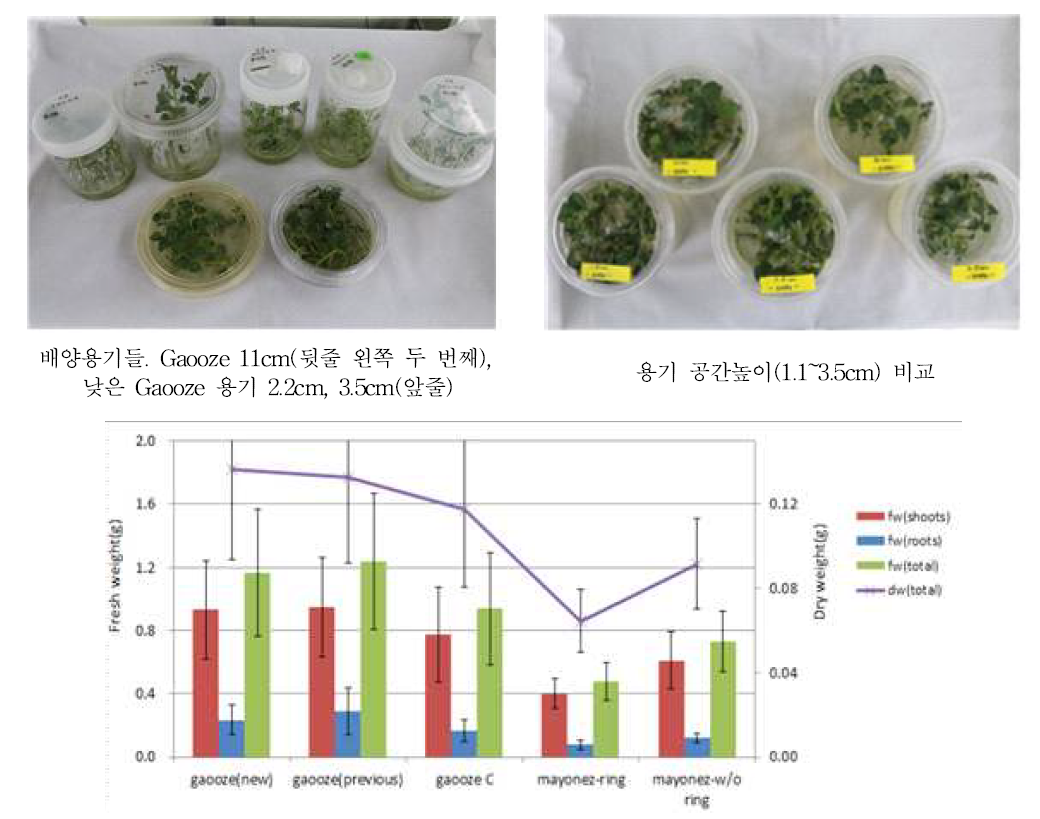 배양용기에 따른 생체중과 건물중