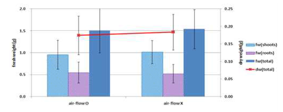 배양대의 환기 유무에 따른 생체중과 건물중(11cm 가우즈).
