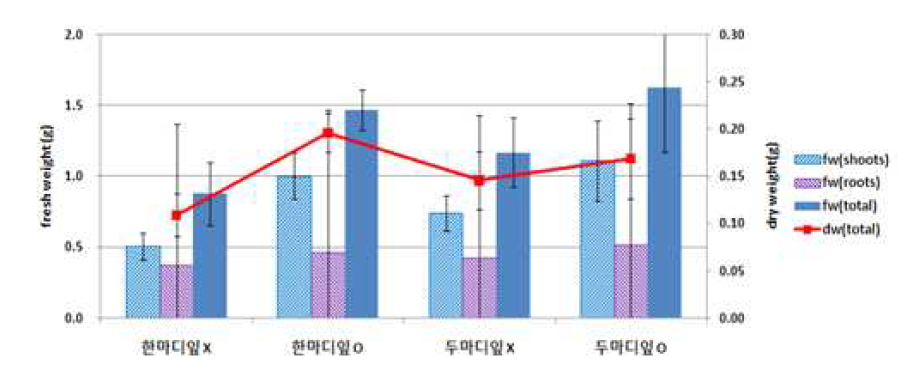 절편체의 마디수 및 잎의 유무에 따른 생체중과 건물중(2015.10.30).