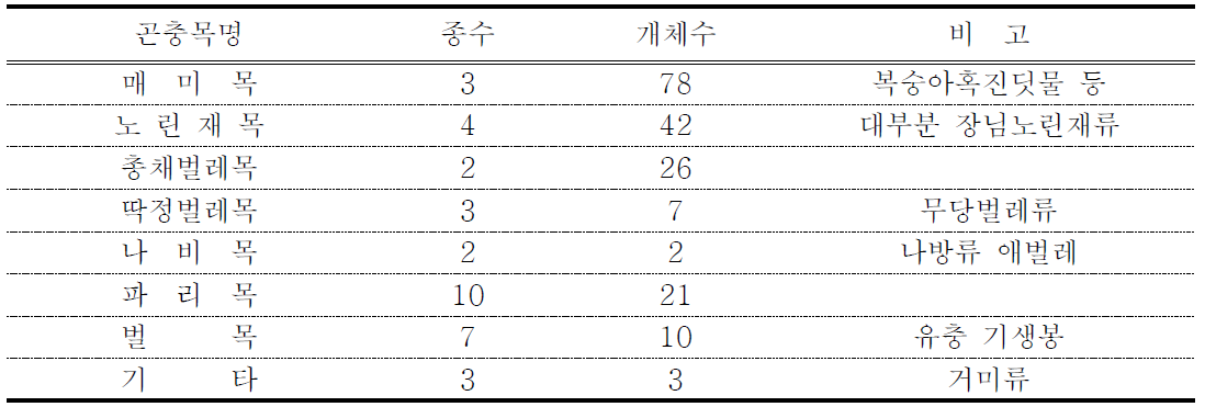 감자 시험포장내 곤충 종류 및 개체수