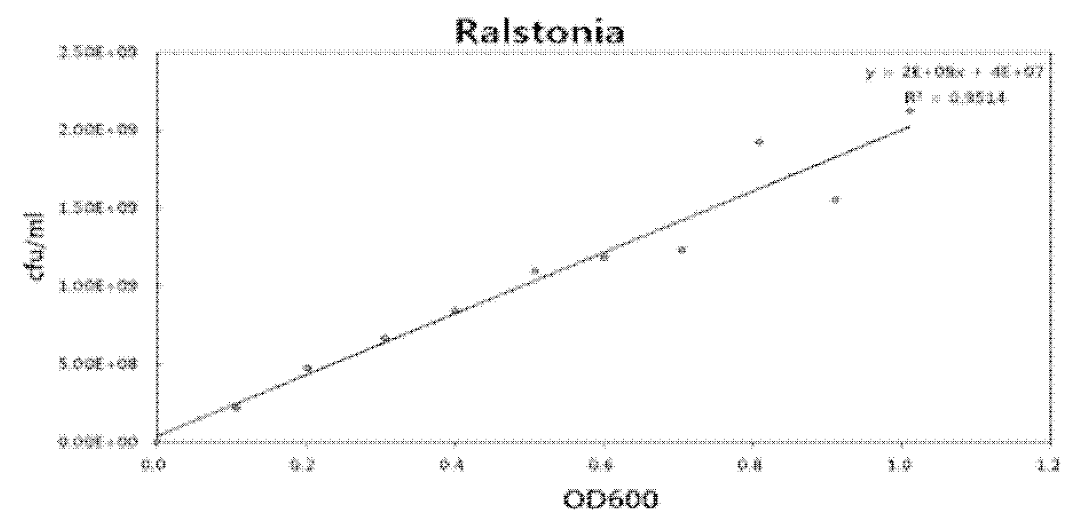 Ralstonia solanacearum의 optical density와 CFU의 상관관계