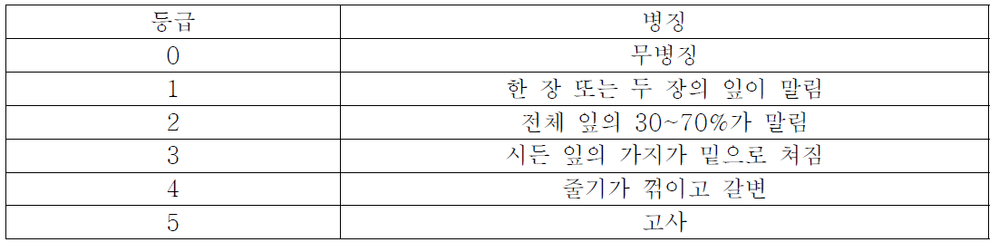 R. solanacearum에 대한 맹아묘 평가기준