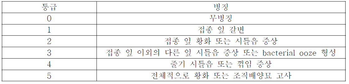 R. solanacearum에 대한 맹아묘 평가기준