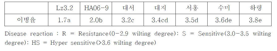 HA06-9 조직배양묘를 이용한 저항성 평가 결과