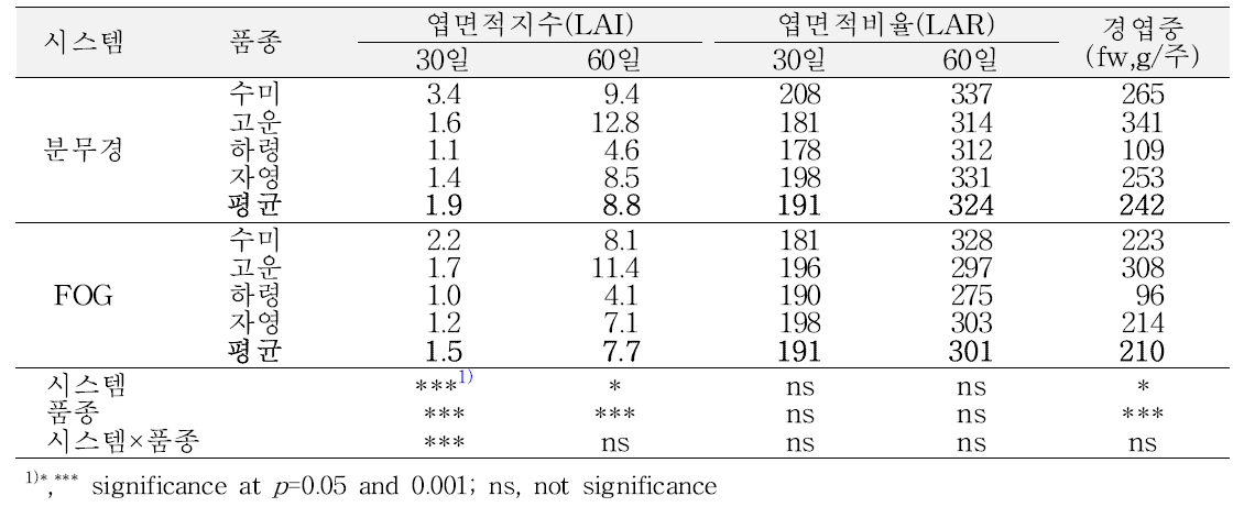 봄 재배 시 잎줄기 생장 특성