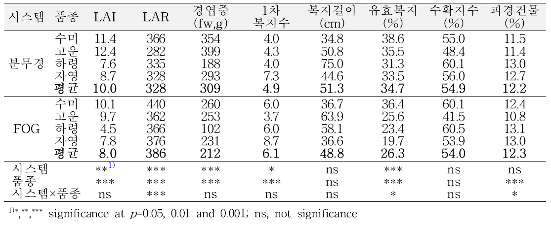 가을재배 시 생장특성(정식 후 60일)