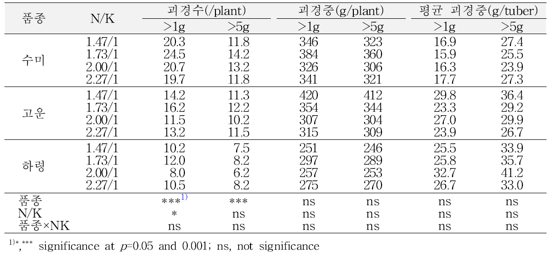 배양액의 NO3/K 비율별 미니튜버 생산성(가을재배, 정식 후 100일)